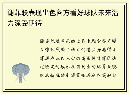 谢菲联表现出色各方看好球队未来潜力深受期待